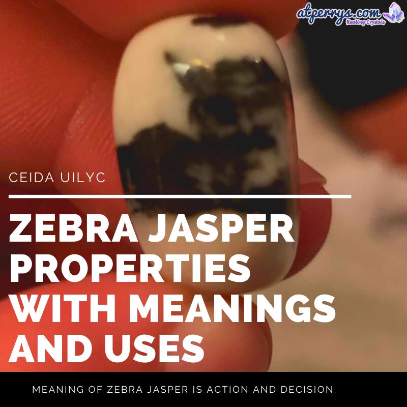 Zebra Jasper Properties with Meanings and Uses AtPerry's Healing Crystals