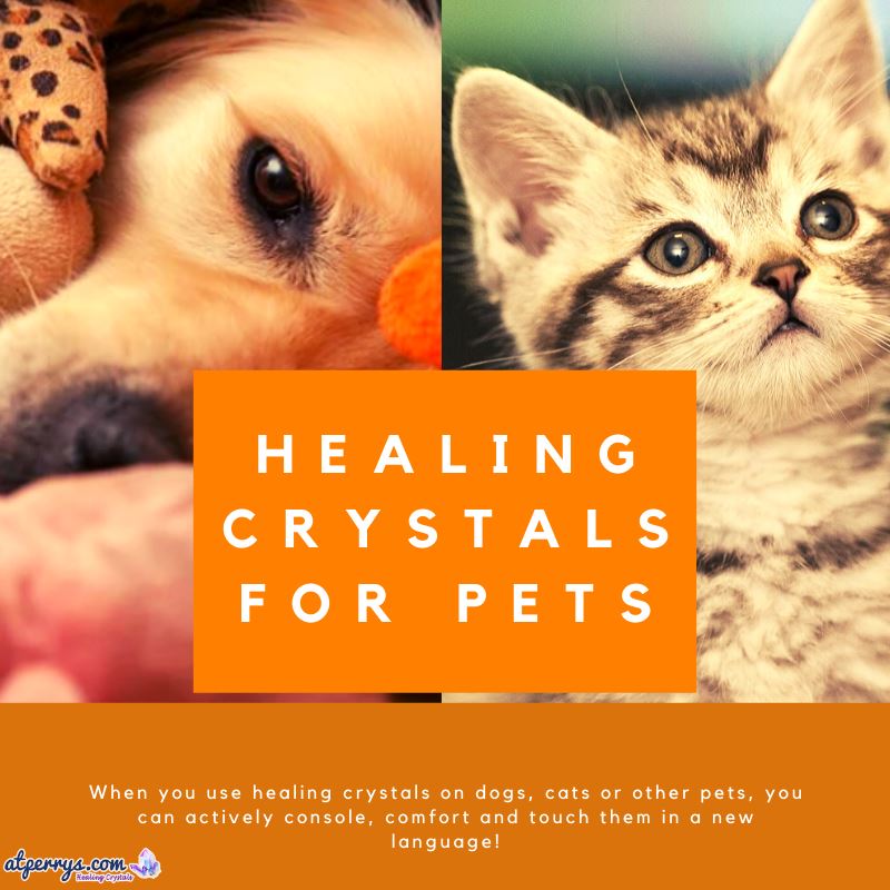 Healing Crystals For Pets