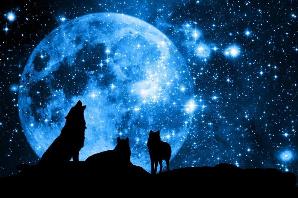 Full Wolf Moon January Is Here: What Can Your Crystals Do?