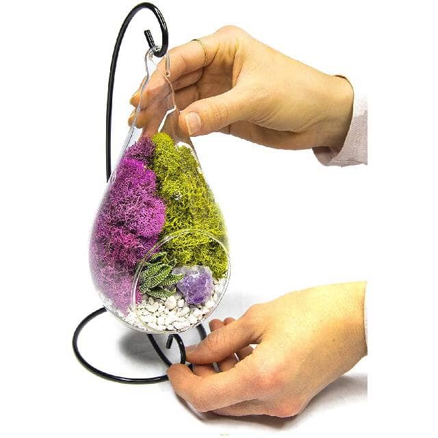 Genuine Purple Amethyst Crystal Quartz in Tear Drop Air Plant Terrarium Kit (Shipping to US only)Jewelry Set