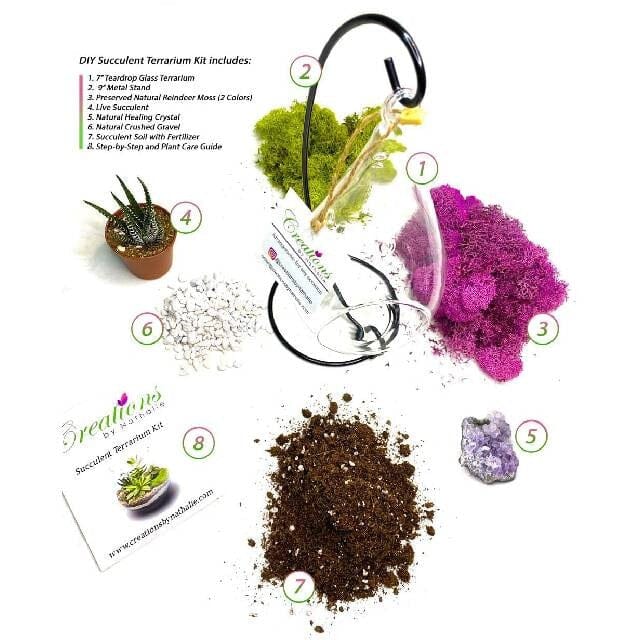 Genuine Purple Amethyst Crystal Quartz in Tear Drop Air Plant Terrarium Kit (Shipping to US only)Jewelry Set