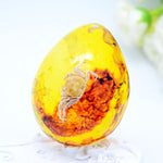 Scorpio Amber Gemstone - 5 StylesRaw Stone3