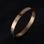 Luxury Royal Charm Bracelet SetBracelet