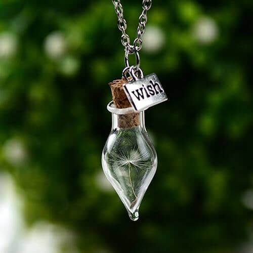Glass Bottle Natural Dandelion Seed NecklaceNecklaceStyle 5