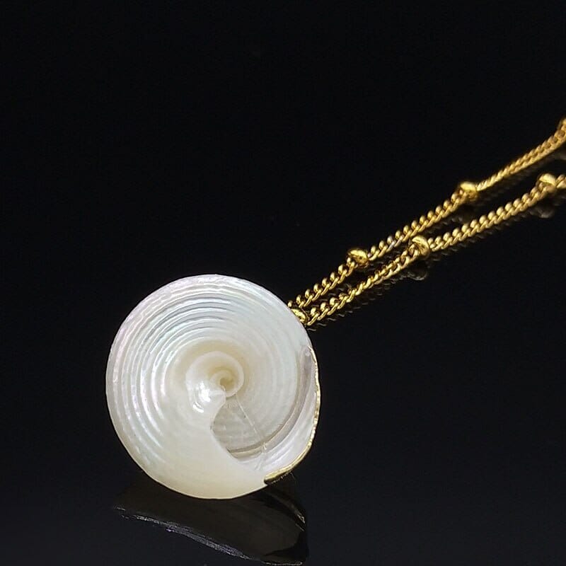 2022 Fashion Stainless Steel Shell Necklaces for Women Gold Color Necklaces & Pendants Jewelry colier femme N19079Bracelet