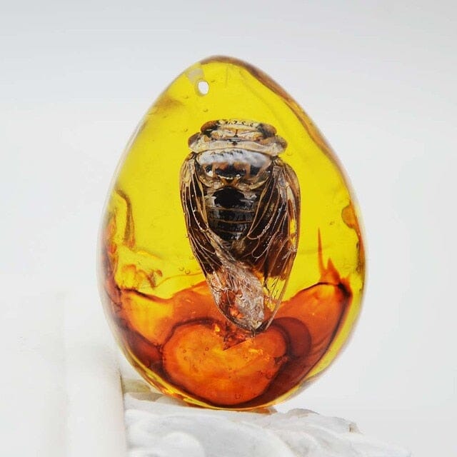 Scorpio Amber Gemstone - 5 StylesRaw Stone8