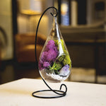 Genuine Purple Amethyst Crystal Quartz in Tear Drop Air Plant Terrarium Kit (Shipping to US only)Jewelry Set