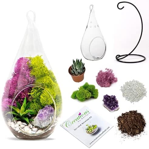 Genuine Purple Amethyst Crystal Quartz in Tear Drop Air Plant Terrarium Kit (Shipping to US only)Jewelry Set