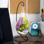 Genuine Purple Amethyst Crystal Quartz in Tear Drop Air Plant Terrarium Kit (Shipping to US only)Jewelry Set
