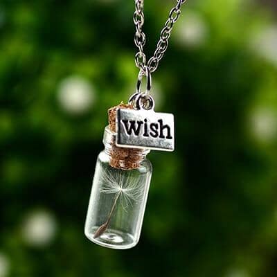 Glass Bottle Natural Dandelion Seed NecklaceNecklaceStyle 1