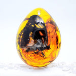 Scorpio Amber Gemstone - 5 StylesRaw Stone9