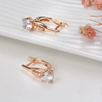 585 Rose Gold Simple Drop Earrings with White Zircon