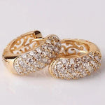 Aesthetic CZ Hollow Hoop Earrings for WomenE2399