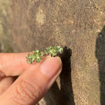 Natural Peridot 925 Sterling Silver Stud Earrings For Women