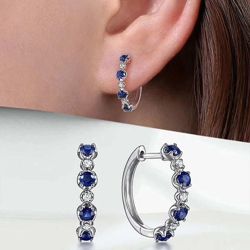 Simple Stylish Round Blue/White CZ Hoop EarringsE3453