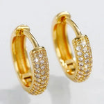 Versatile Women’s Hoop Earrings with Cubic ZirconiaE1731