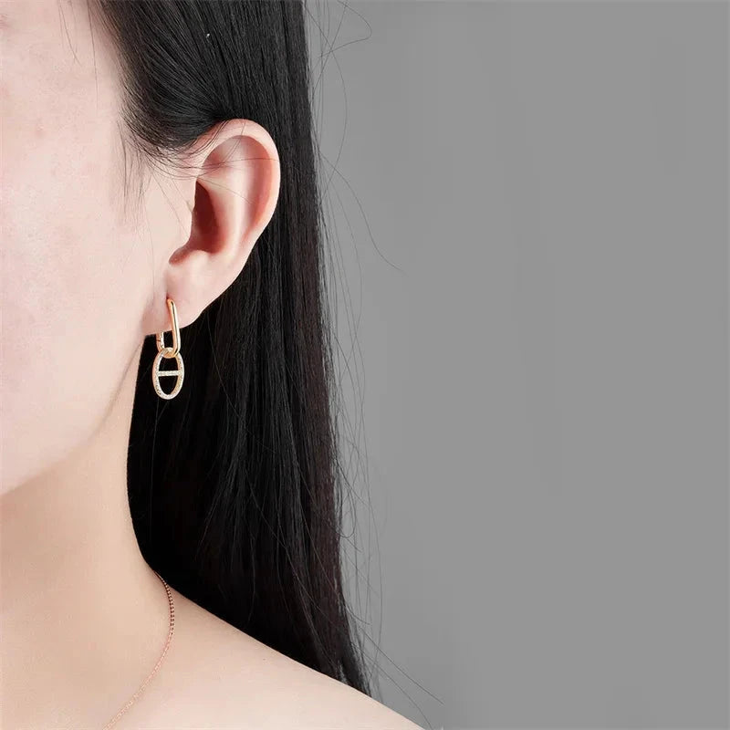 Double Loop Geometric Zircon Earrings for Women