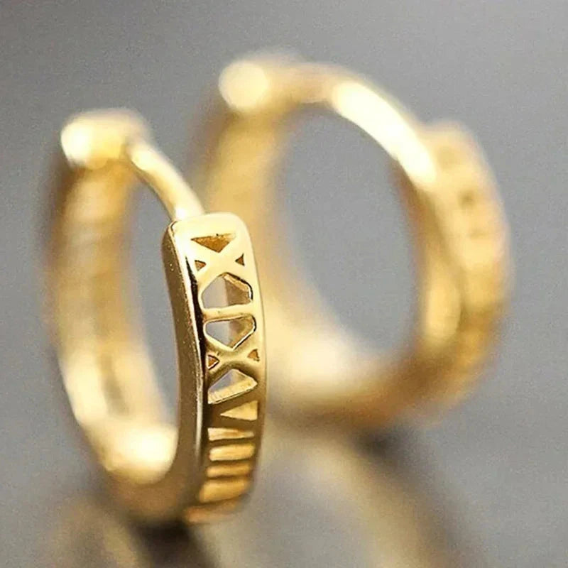 Versatile Women’s Hoop Earrings with Cubic ZirconiaE2140