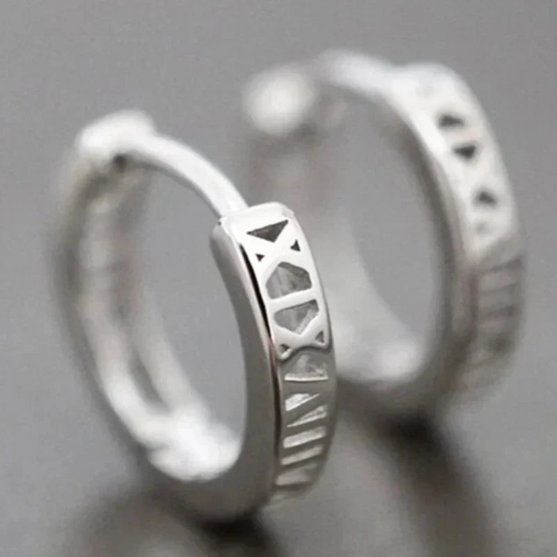 Versatile Women’s Hoop Earrings with Cubic ZirconiaE2139