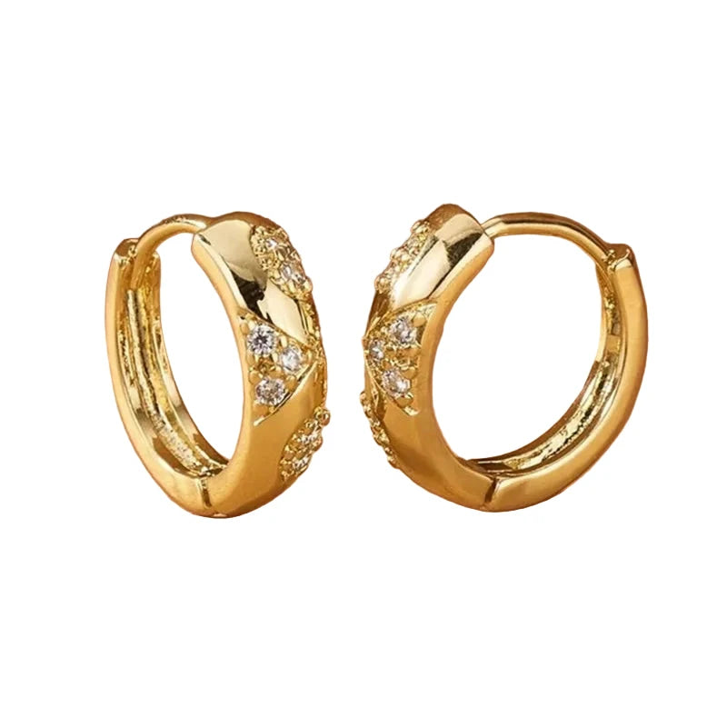 Elegant French Style Earrings for WomenE4105