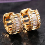 Versatile Women’s Hoop Earrings with Cubic ZirconiaE2110