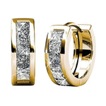 Versatile Women’s Hoop Earrings with Cubic ZirconiaE2247