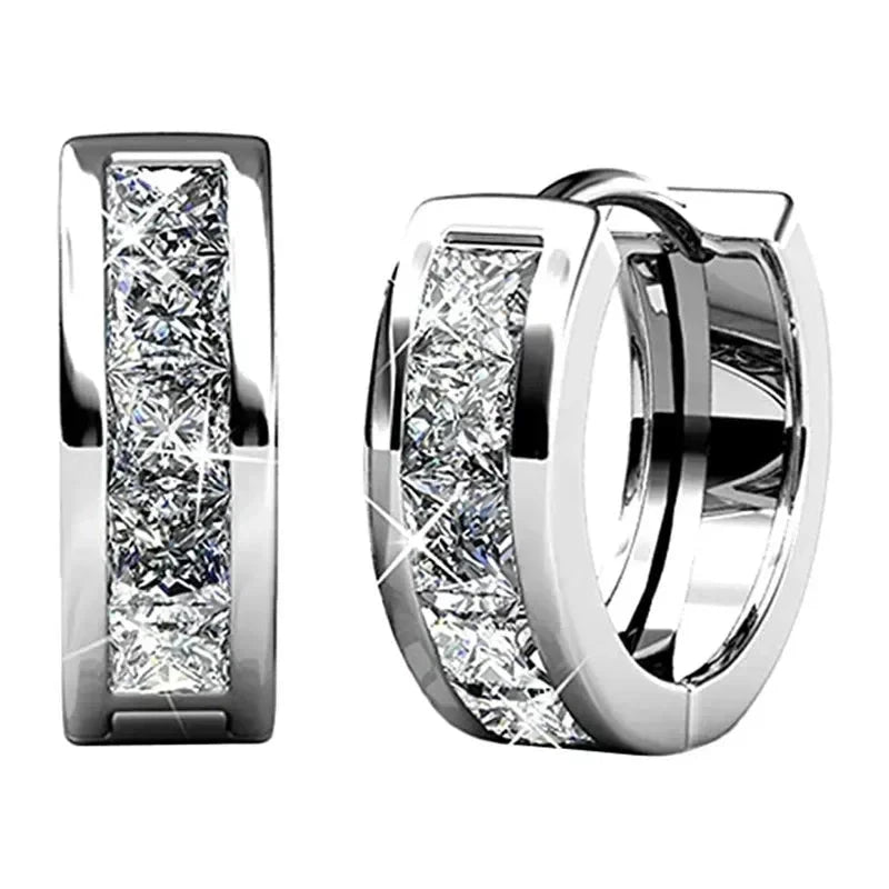 Versatile Women’s Hoop Earrings with Cubic ZirconiaE2246