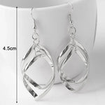 Spiral Women's Hook EarringsES4509