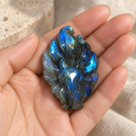 Carved labradorite fox held in a woman's open palm
