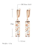 Silver and Rose Gold Geometric Hollow EarringsEarrings