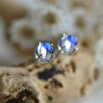 Aurora Borealis Crown Stud Earrings - 925 Sterling SilverEarrings