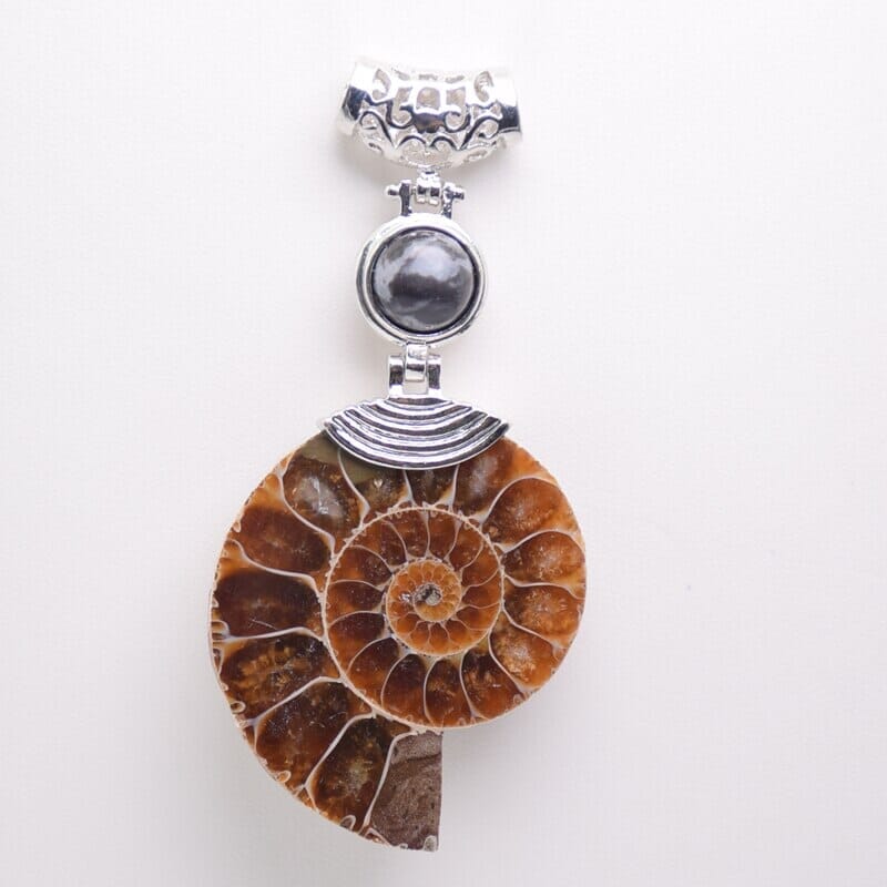 High Quality Natural Ammonite Shell with Natural Stones ChokerNecklaceBlack Line