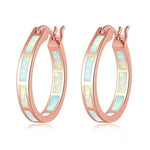 White Fire Opal Earrings With Stone - Round Circle ChicEarringsOH4693