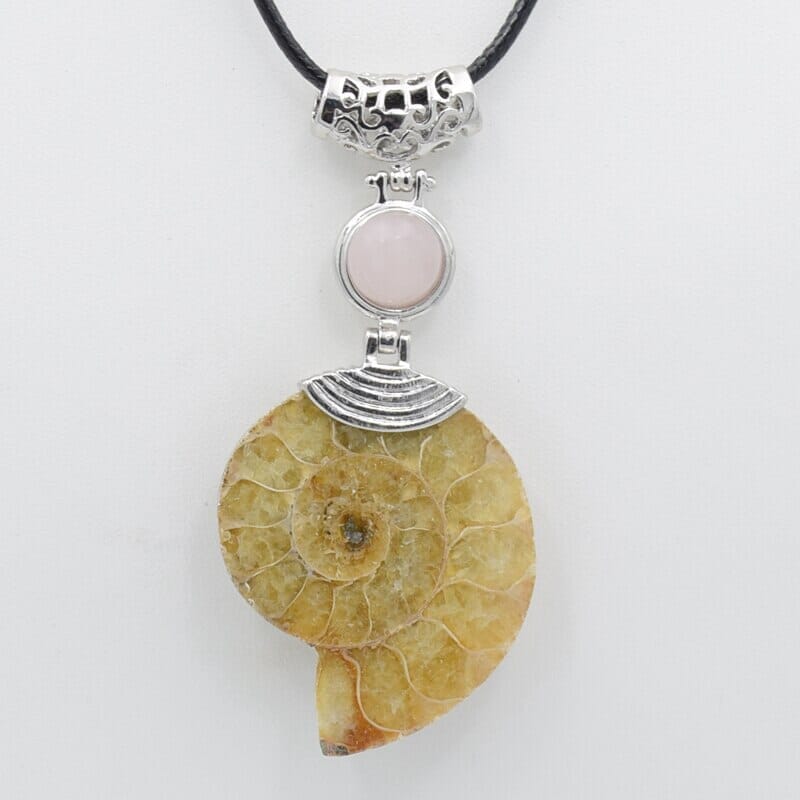 High Quality Natural Ammonite Shell with Natural Stones ChokerNecklace