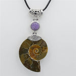 High Quality Natural Ammonite Shell with Natural Stones ChokerNecklaceAmethyst