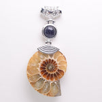 High Quality Natural Ammonite Shell with Natural Stones ChokerNecklacegold sand 1