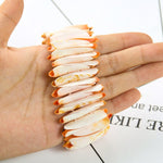 Natural Cowry Seashell Bangle BraceletBracelet