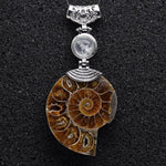 High Quality Natural Ammonite Shell with Natural Stones ChokerNecklacewhite crystal